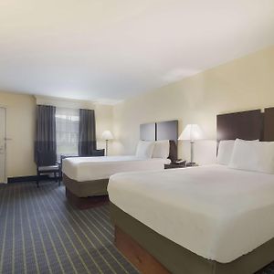 Double Room Two Double Beds